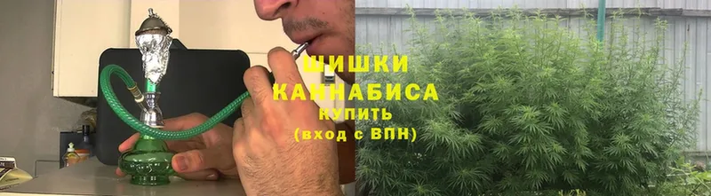 Каннабис Ganja  Короча 